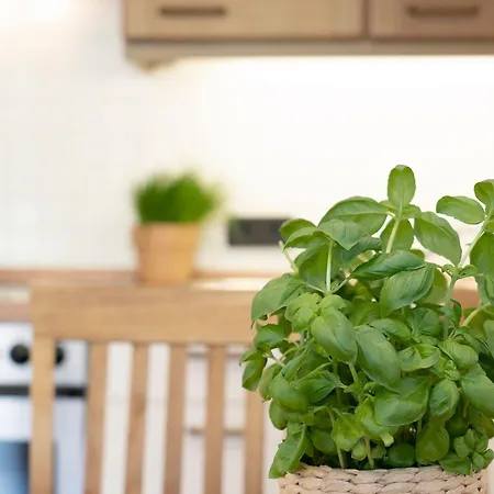 An Der Aue 4a Albrecht Даме